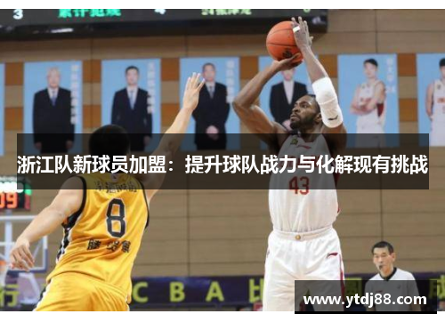 浙江队新球员加盟：提升球队战力与化解现有挑战